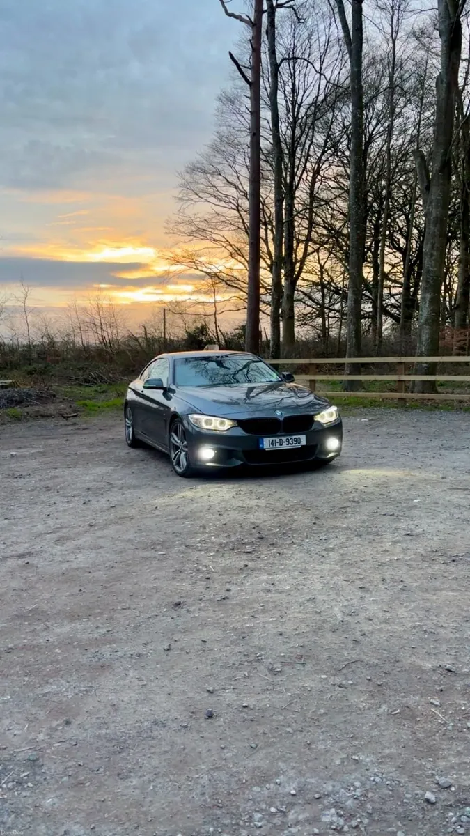 BMW 4-Series M Sport - Image 2