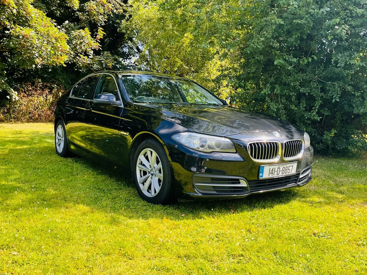BMW 518 SE - Image 1