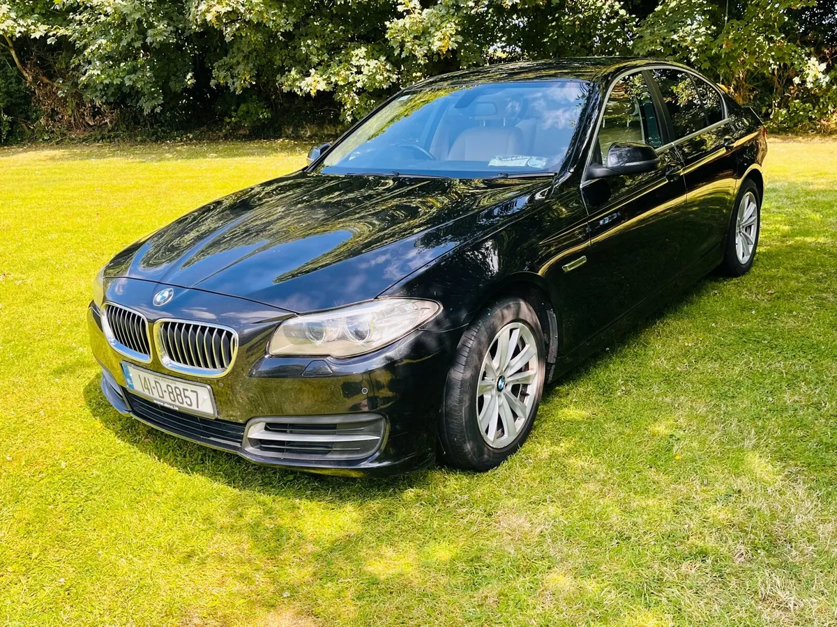 BMW 518 SE - Image 3