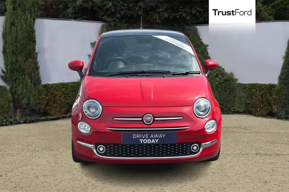 Fiat 500 Standard - Image 6