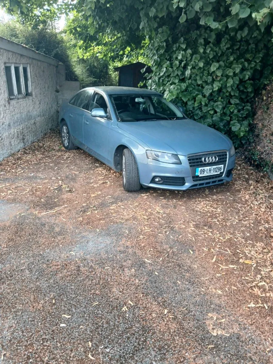 A4tdi 2009 - Image 2