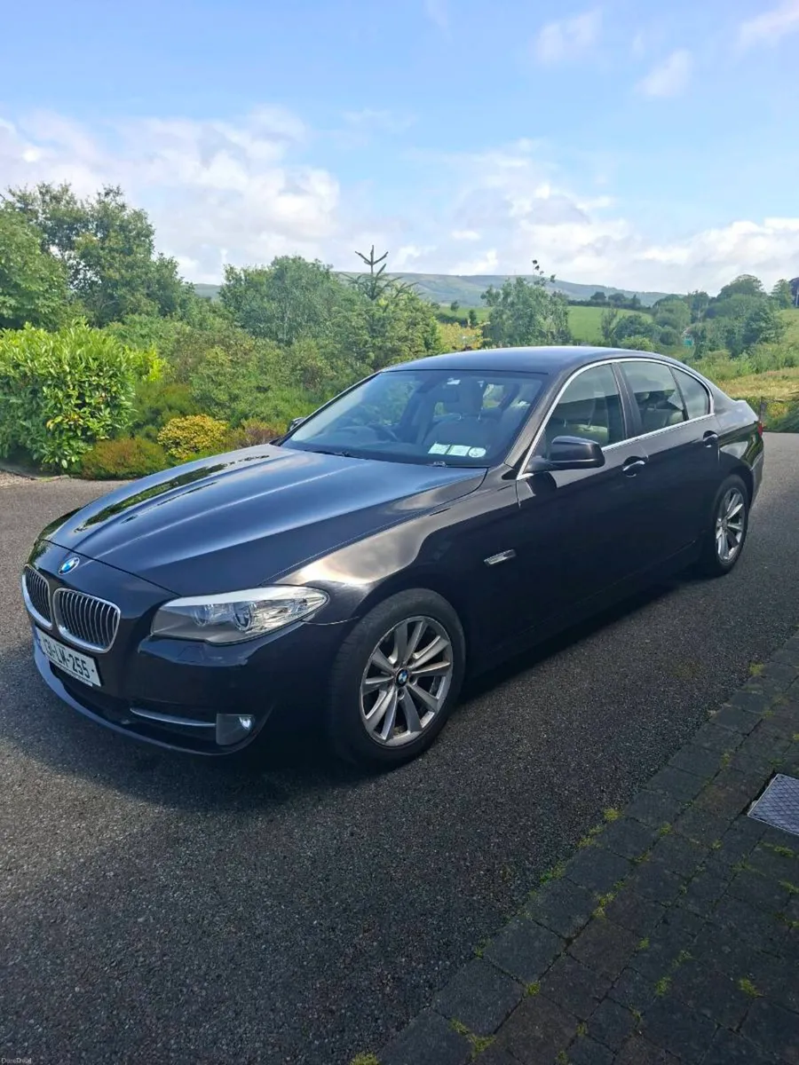 2013 BMW 520d - Image 1