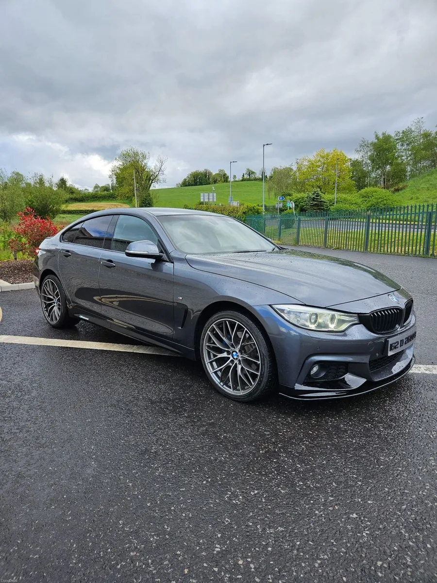 162 BMW 420 D MSPORT XDRIVE - Image 2