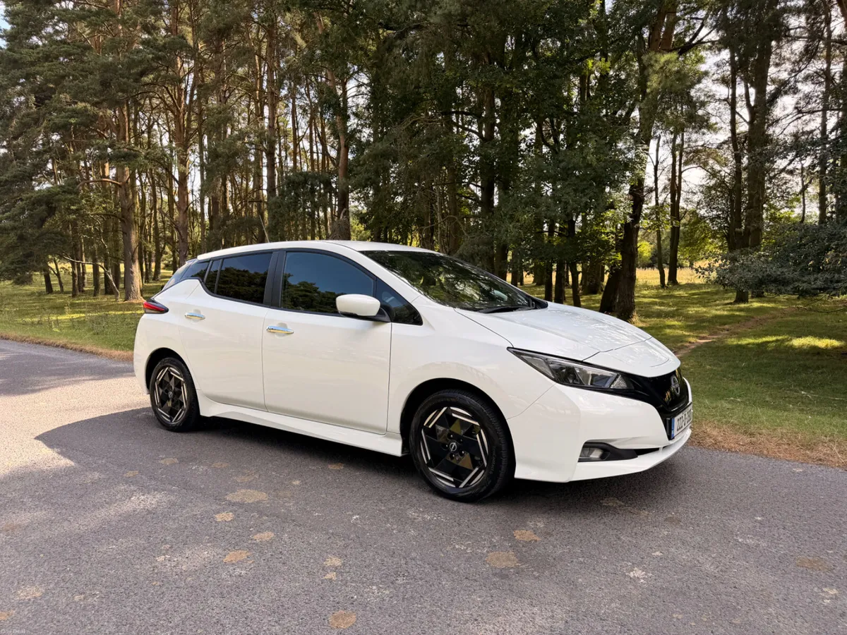 Nissan Leaf 2022 Commercial 2 Seater - Image 1