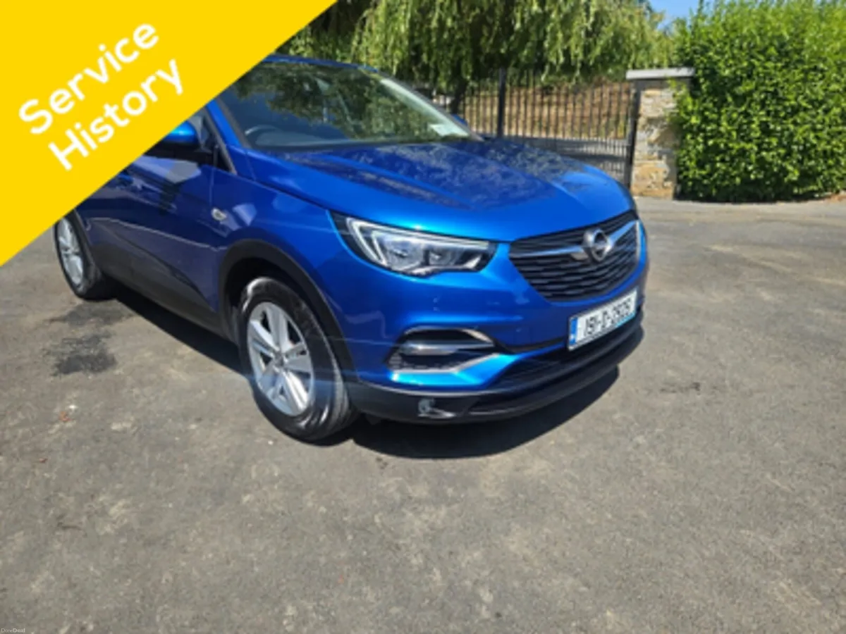 2019 Opel Grandland X 1.2 SC - ONE OWNER - LOW KMS - Image 3