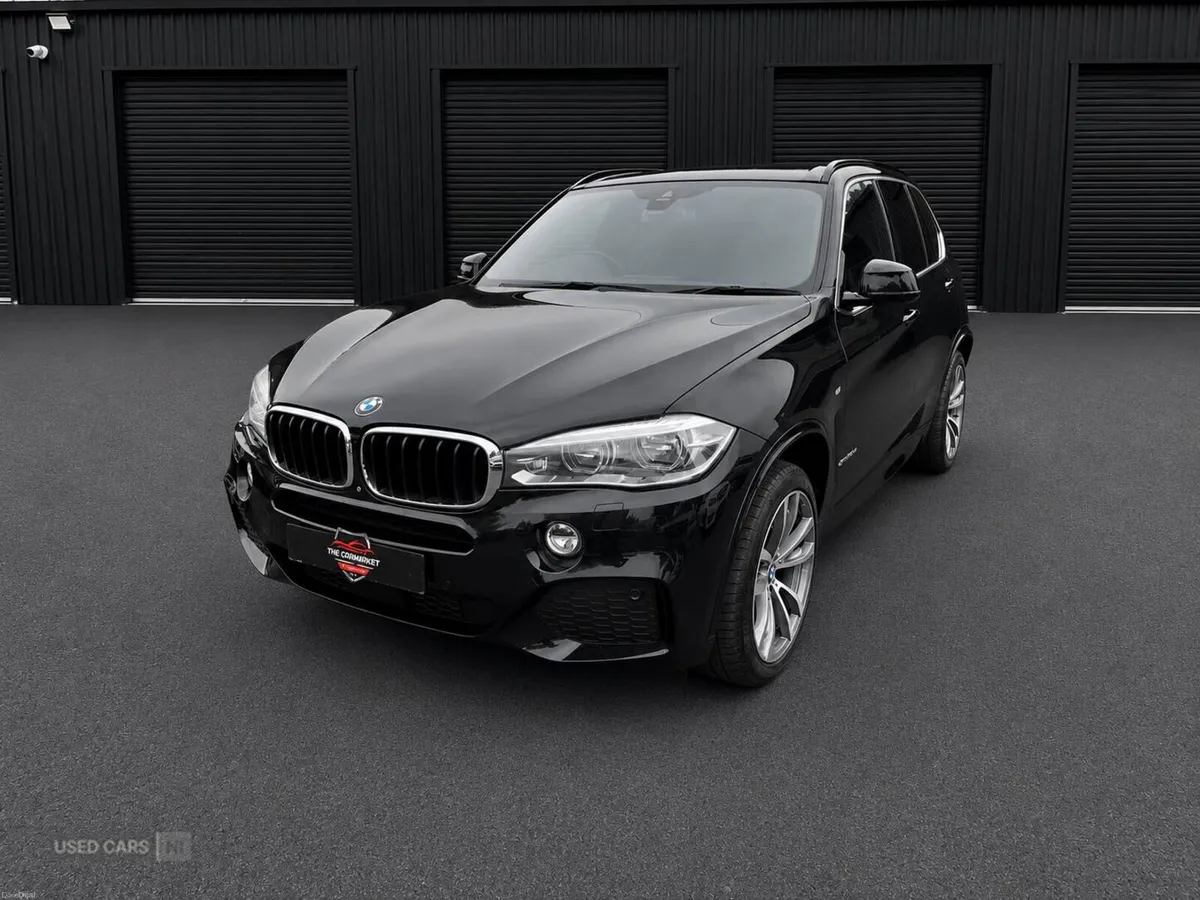 BMW X5 3.0 30d M Sport Auto xDrive Euro 6 (s/s) 5d - Image 3