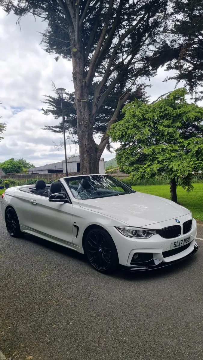 2017 bmw 420d msport convertible - Image 1