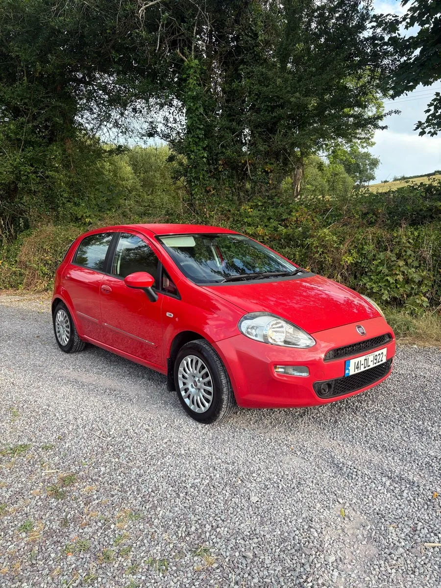 Fiat punto - Image 1