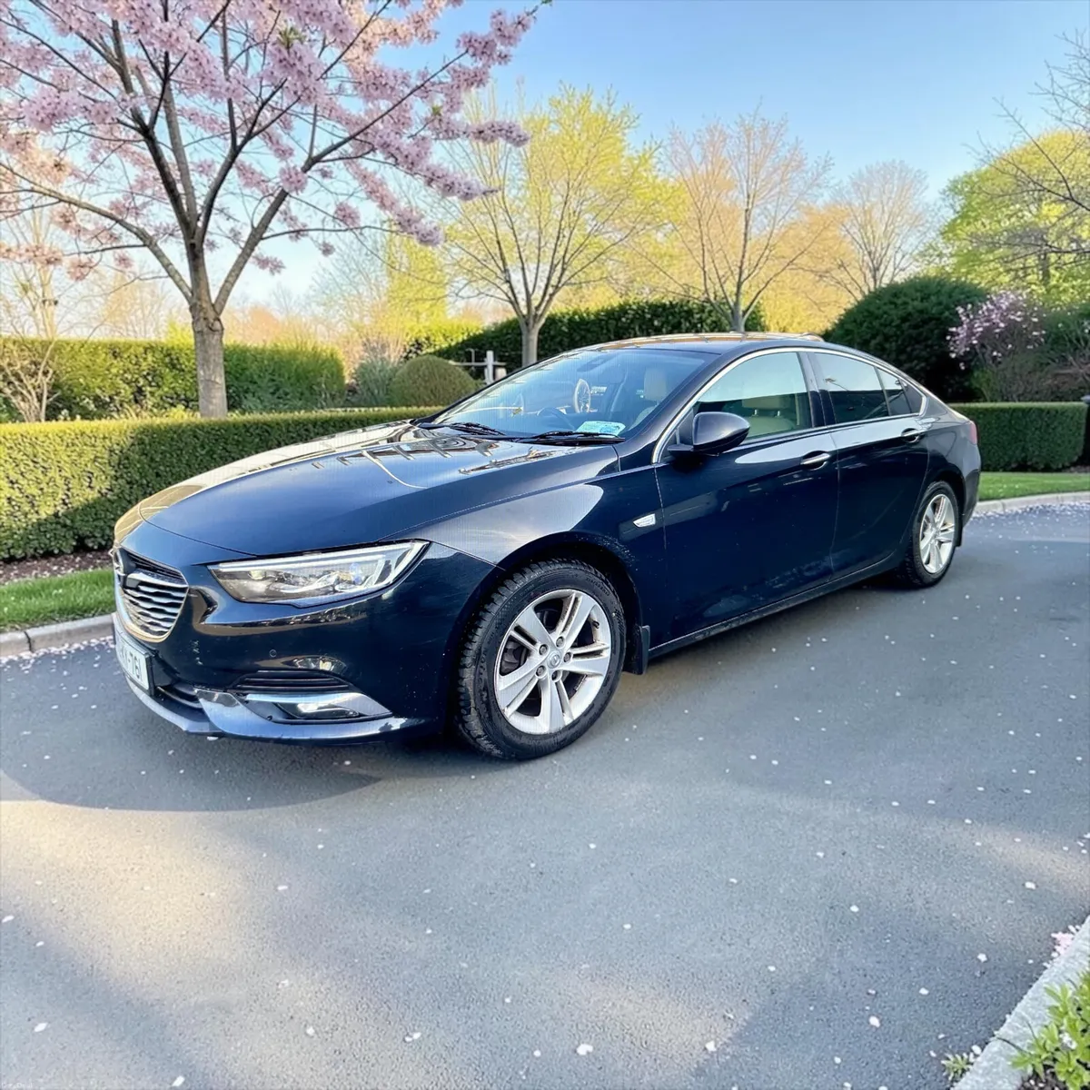 2017Opel Insignia 1.6 (136PS) Turbo D ecoTEC ELITE - Image 4