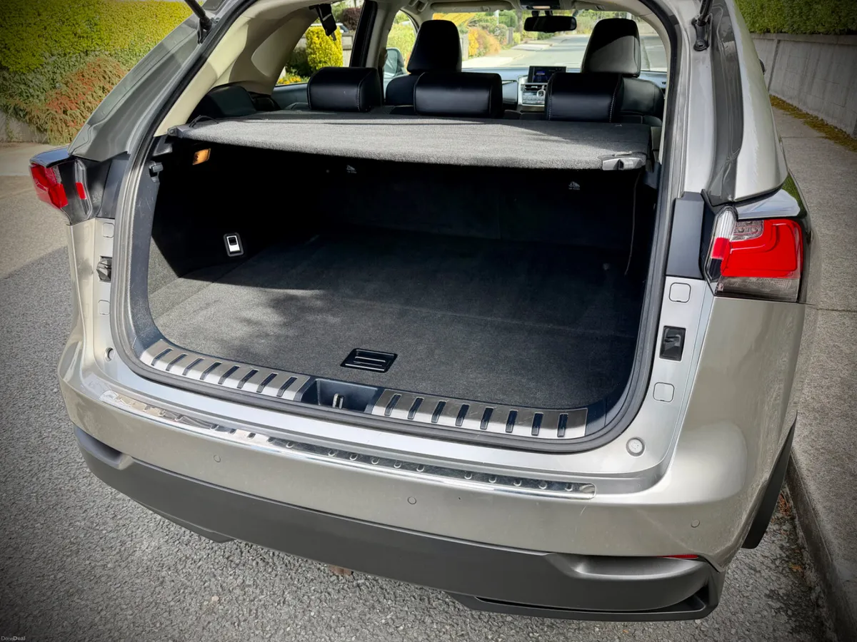 Lexus NX 300h Luxury | One year Lexus Warranty. - Image 6