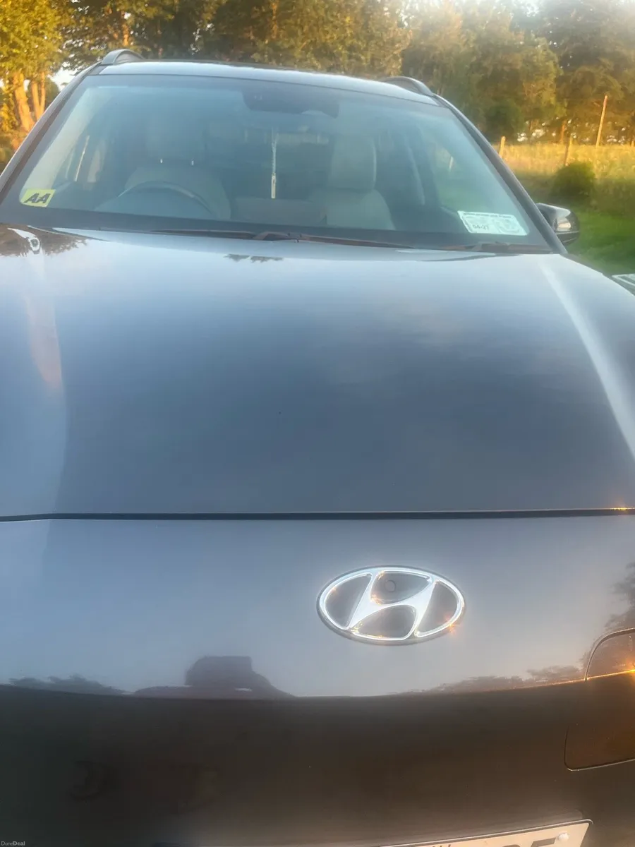 Hyundai Kona ev - Image 1