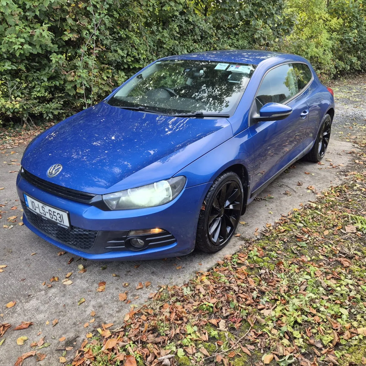 Image 2 of 16
