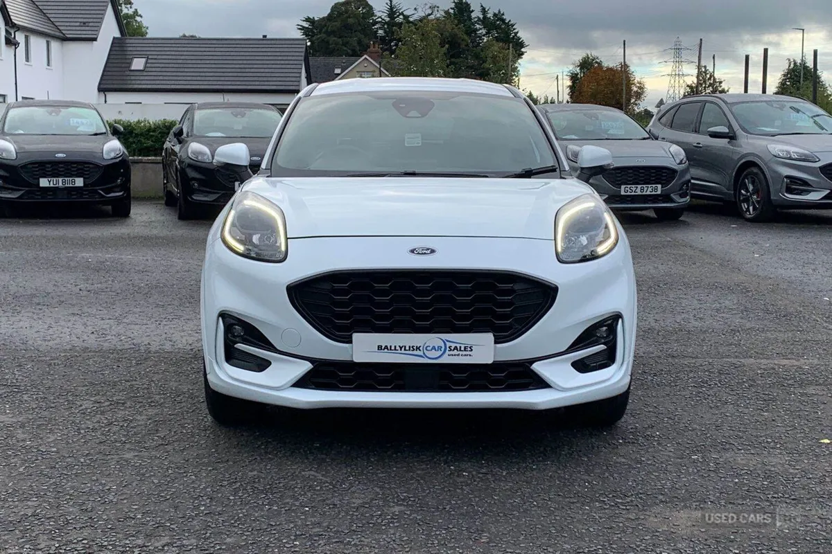 Image 4 of 19