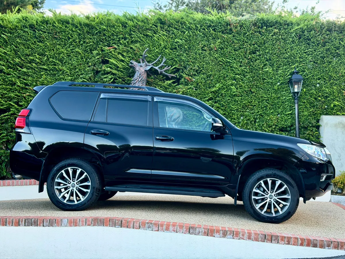 Image 3 of 19