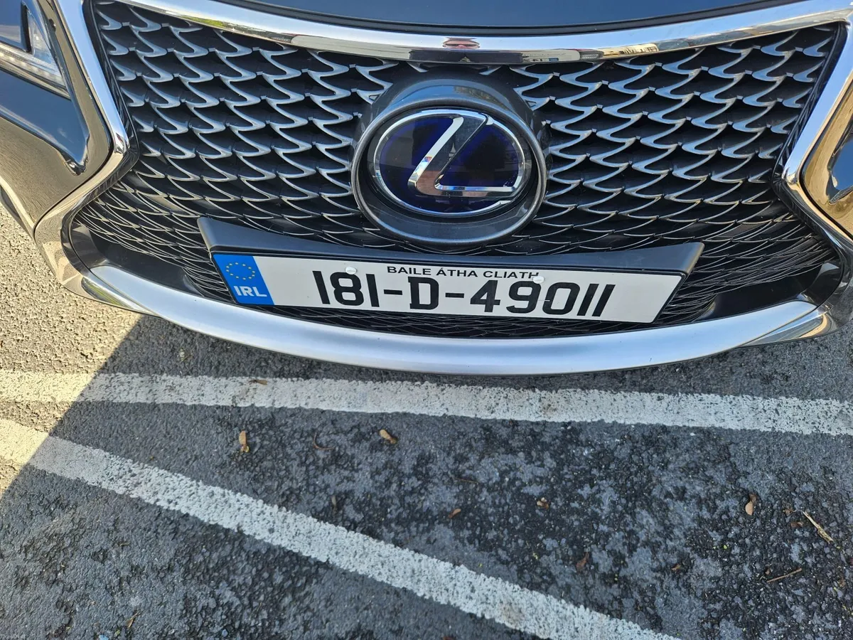 Image 3 of 7
