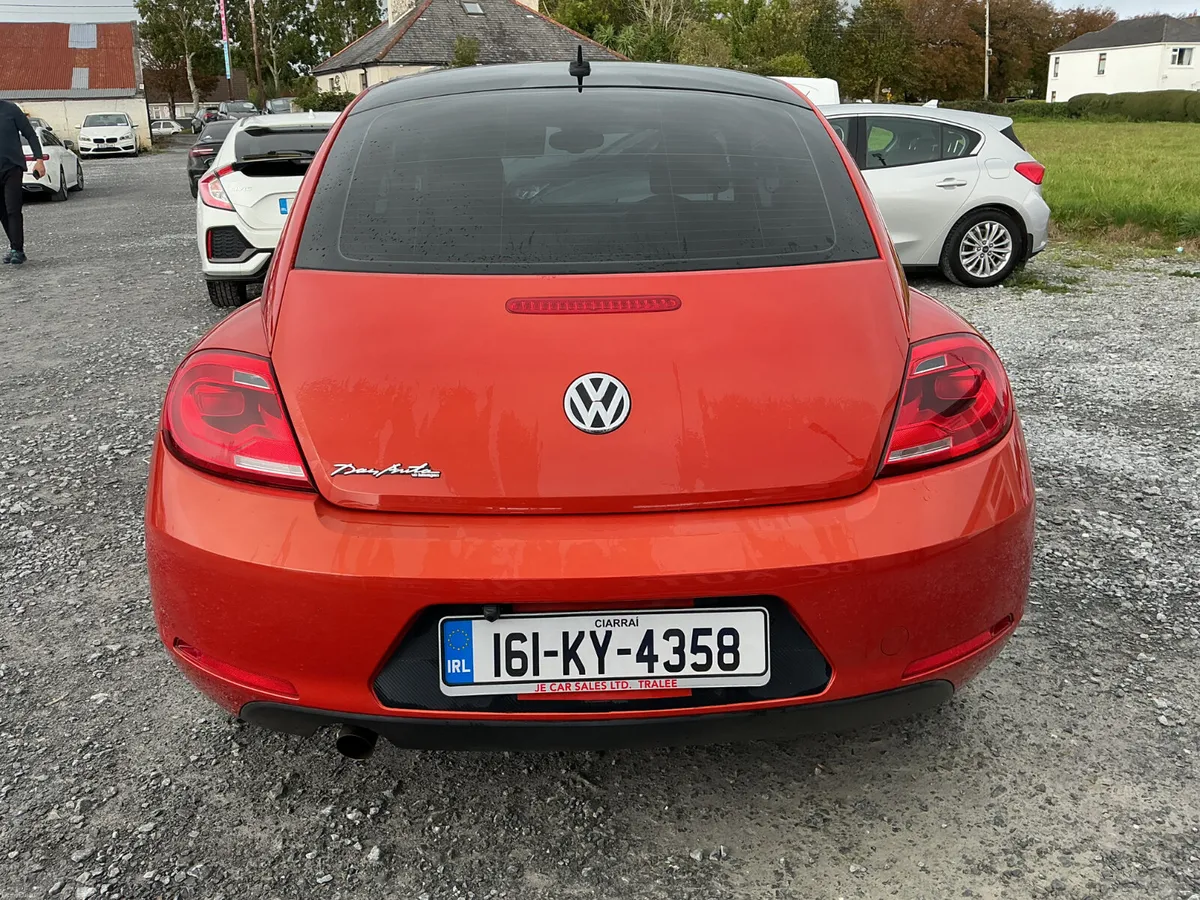Image 5 of 19