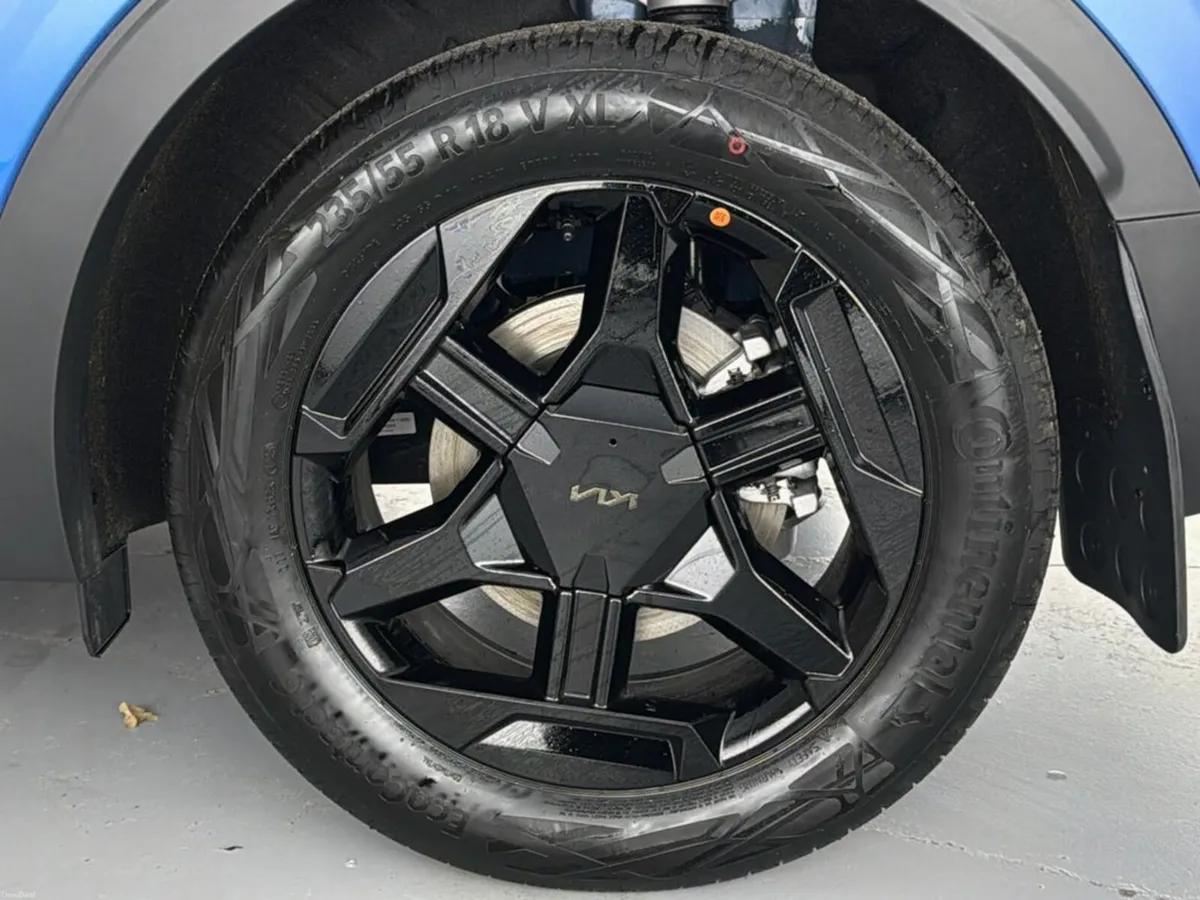 Image 3 of 43