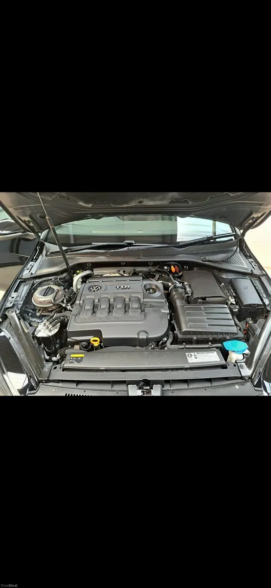 Image 4 of 15
