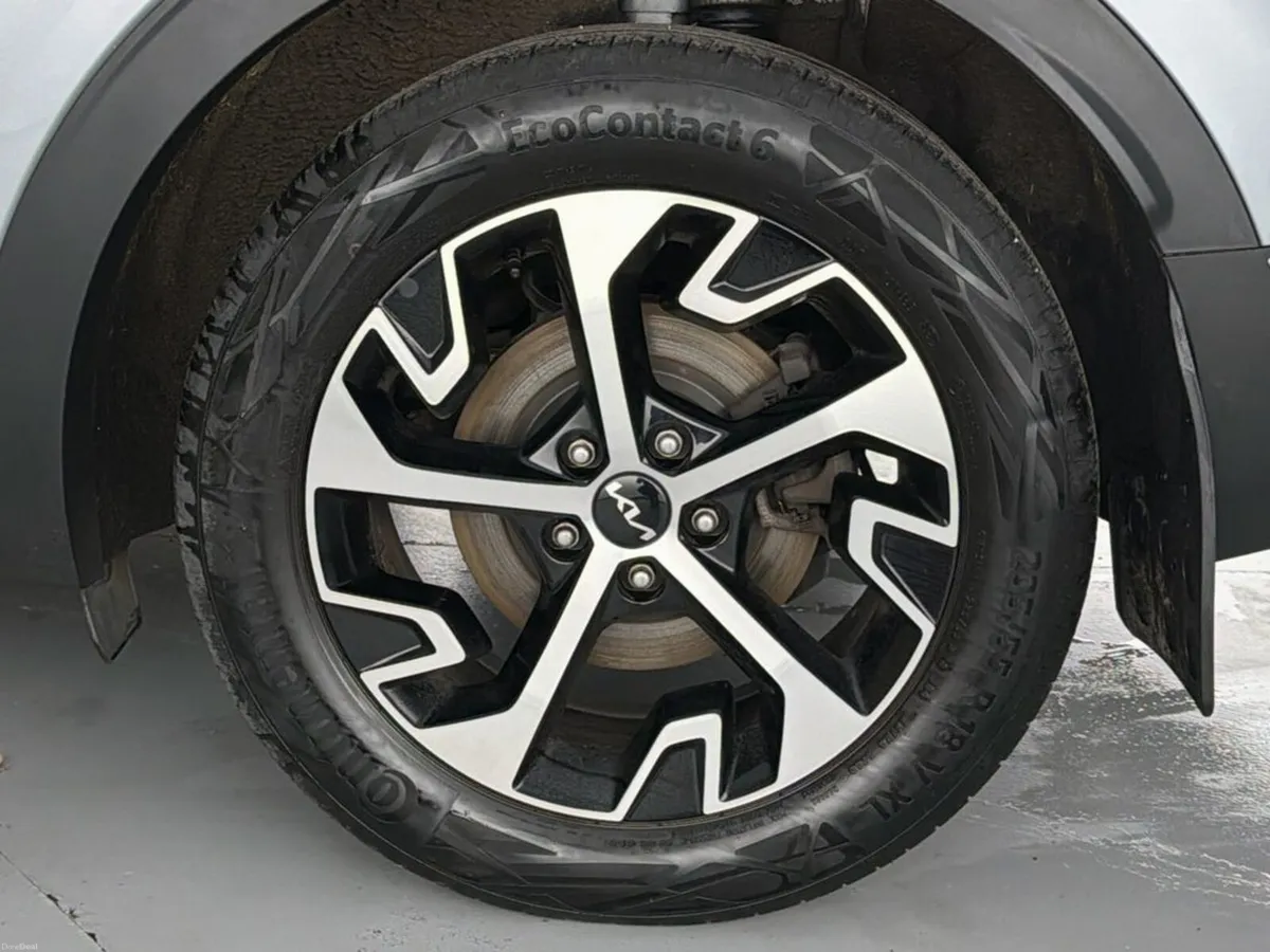 Image 3 of 43