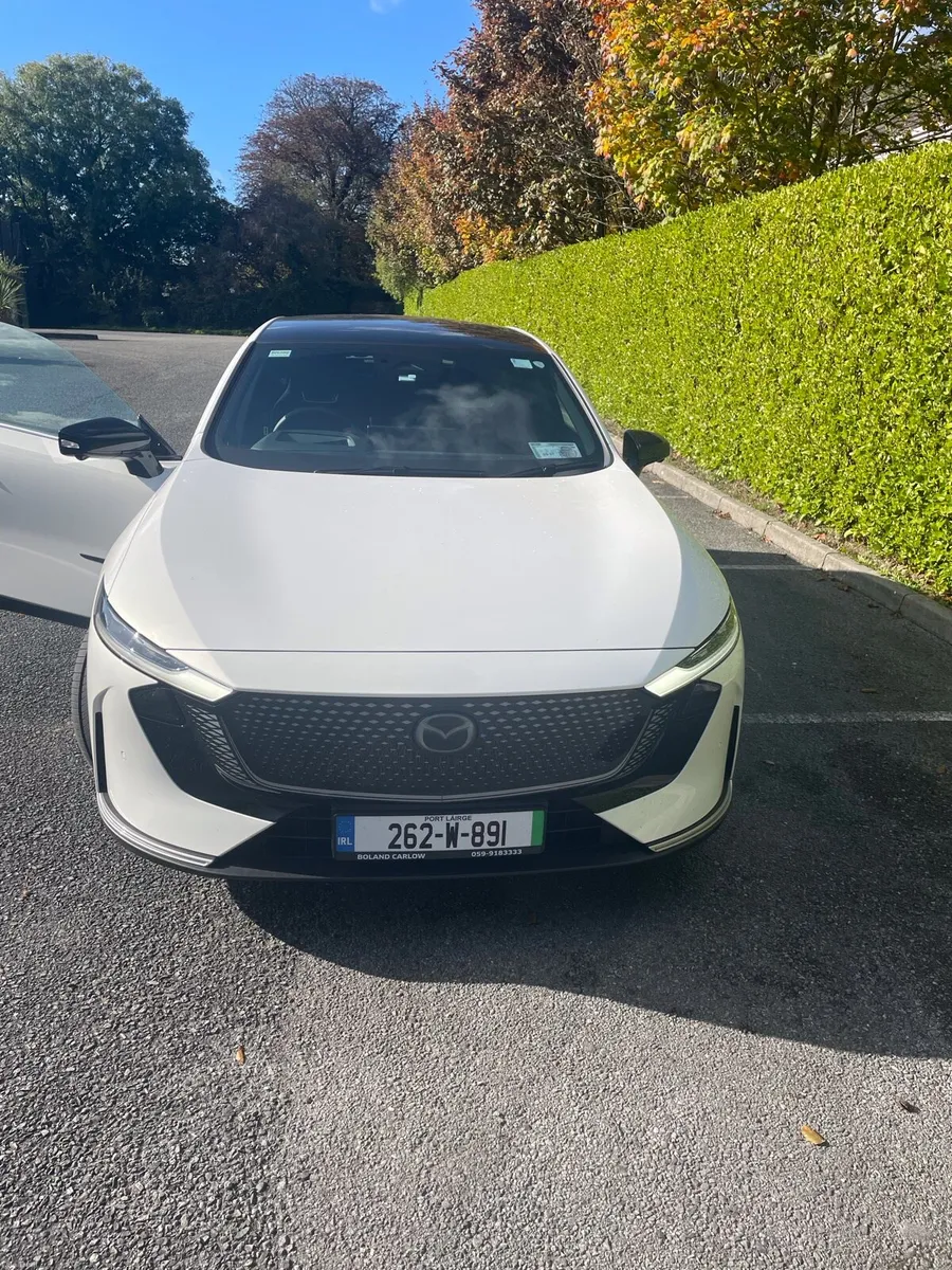 Image 1 of 9