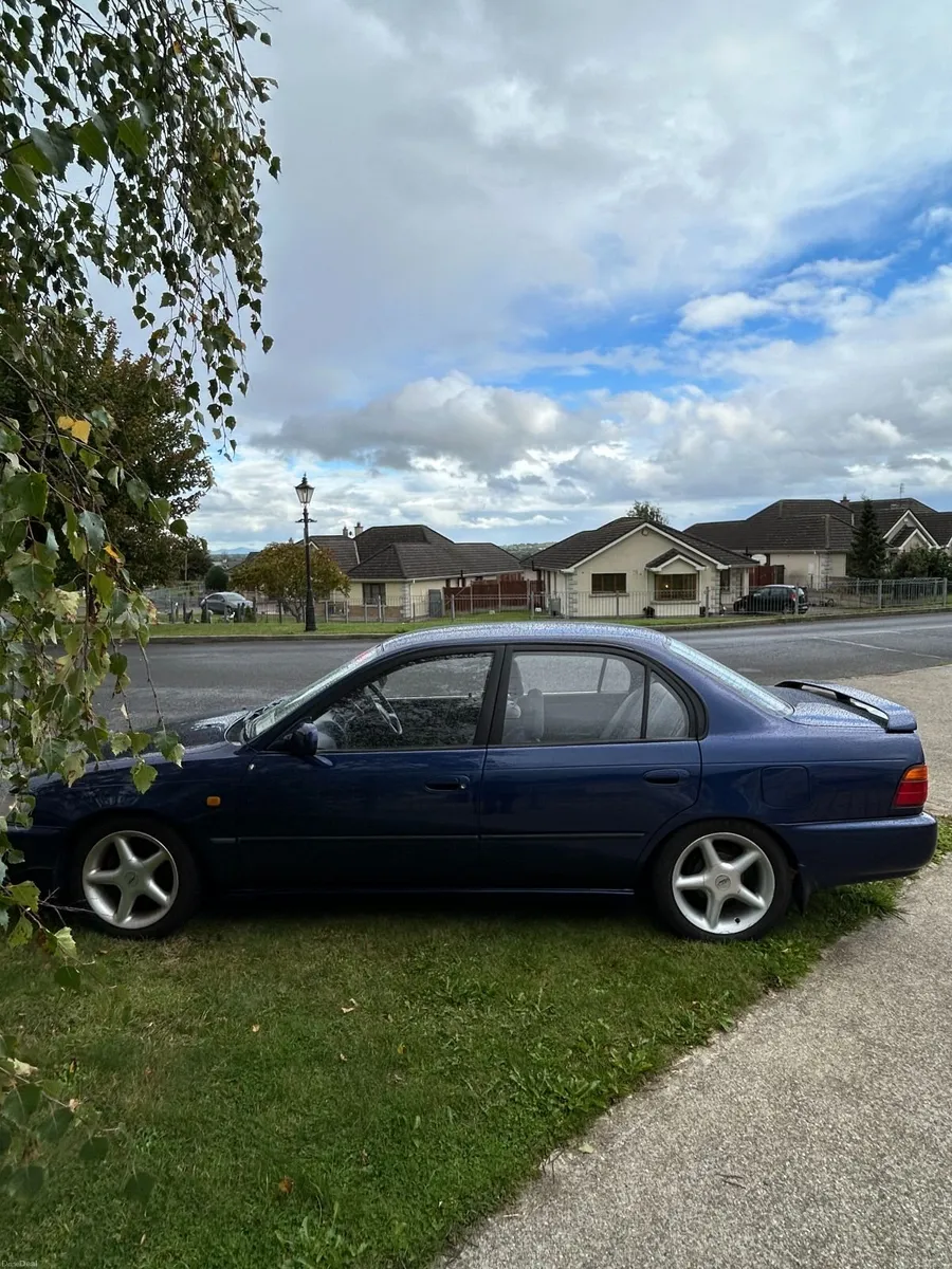 Image 6 of 16