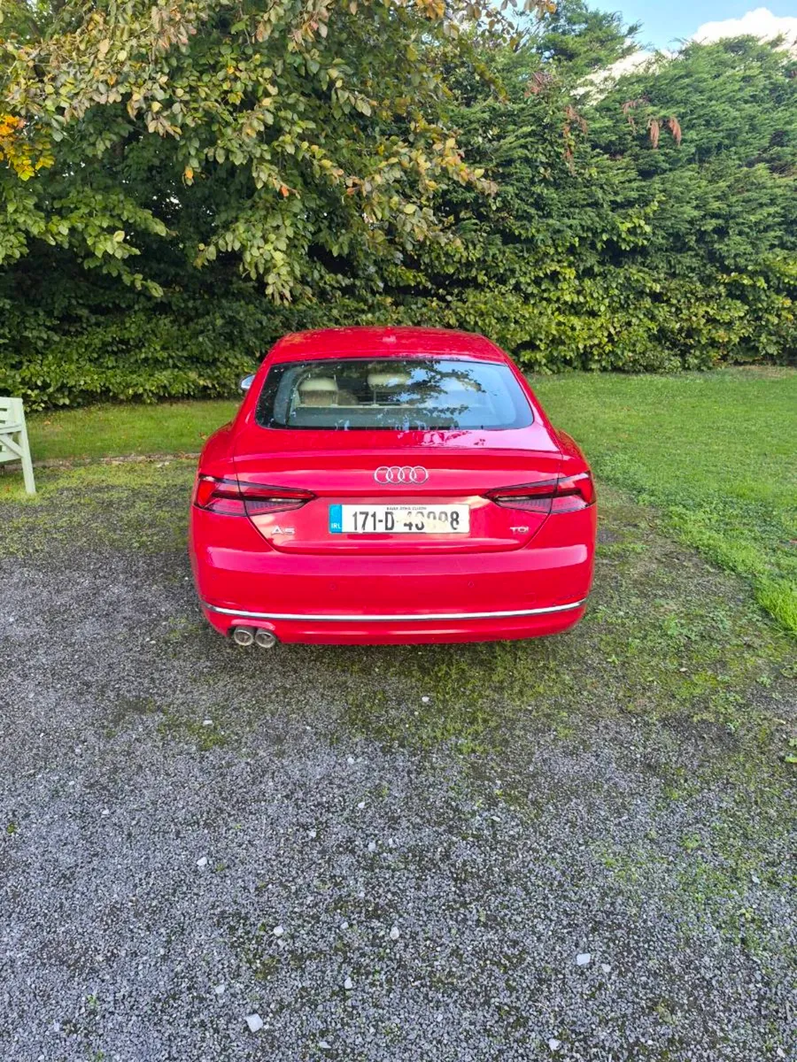 Image 2 of 15