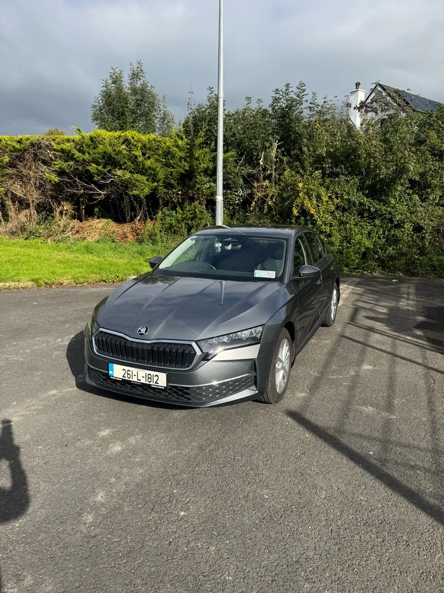 Image 2 of 10