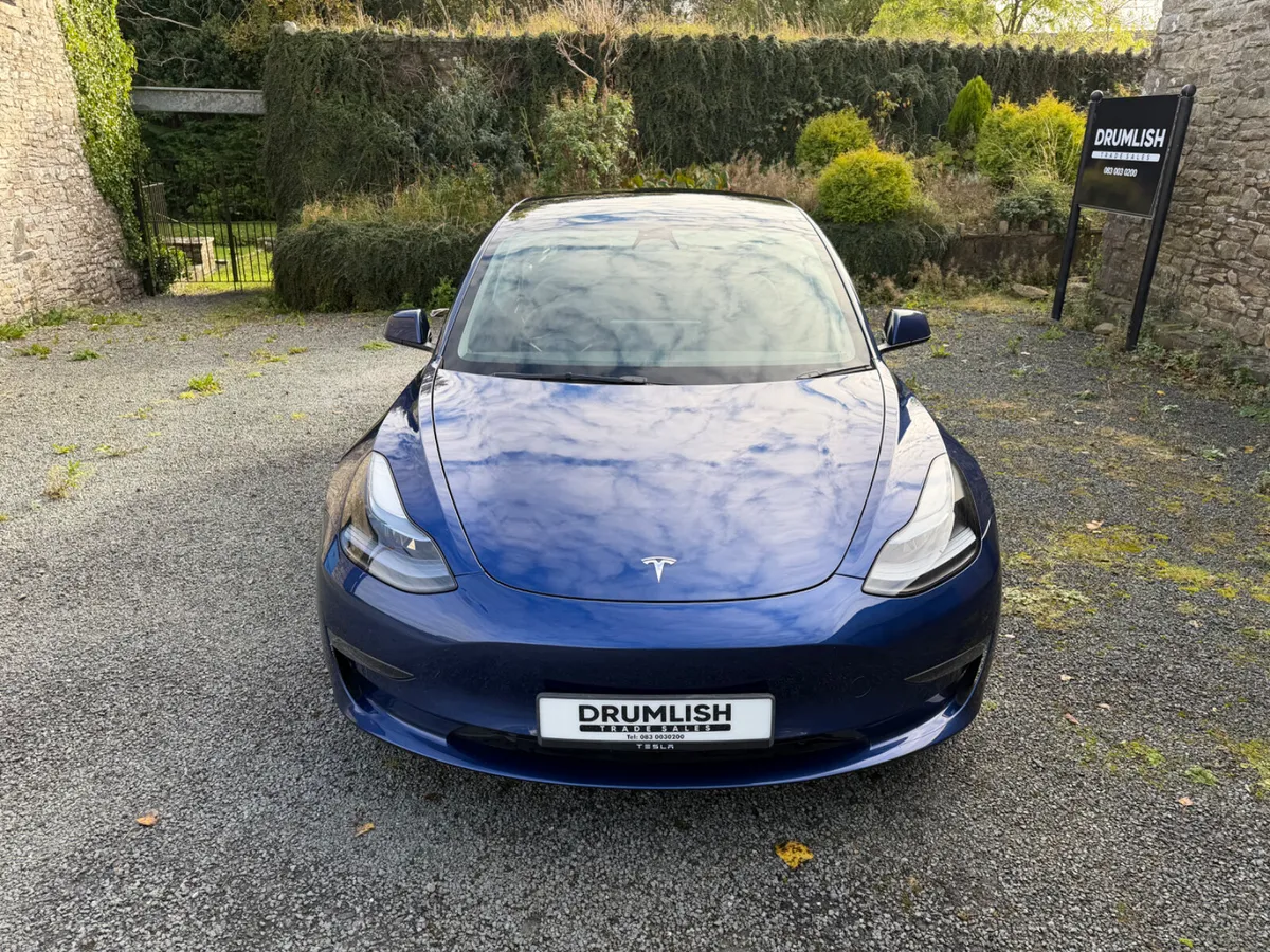 Image 3 of 21