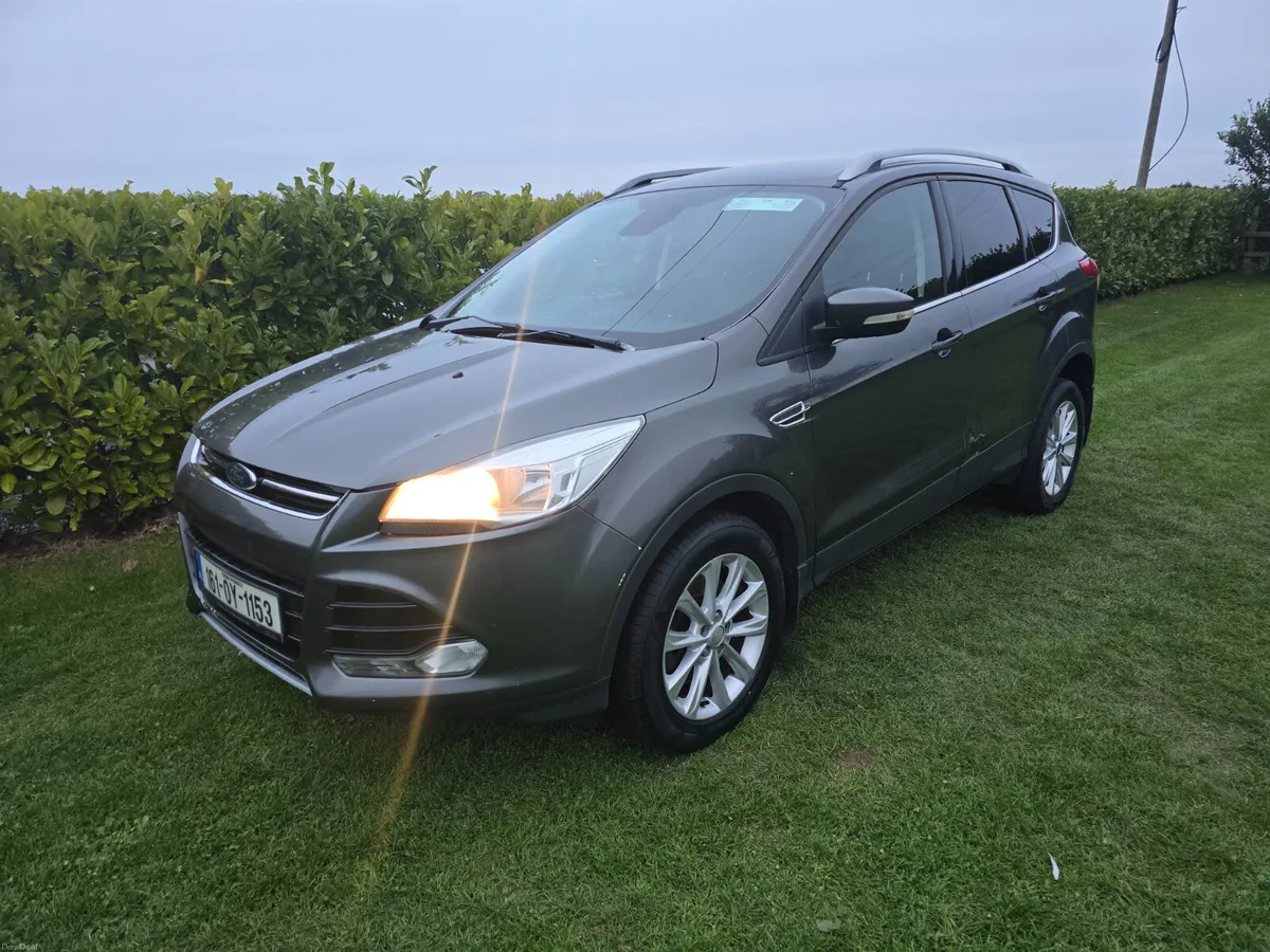 Image 1 of 20
