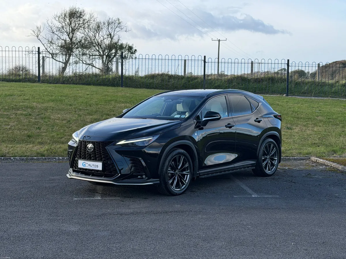 Image 1 of 11