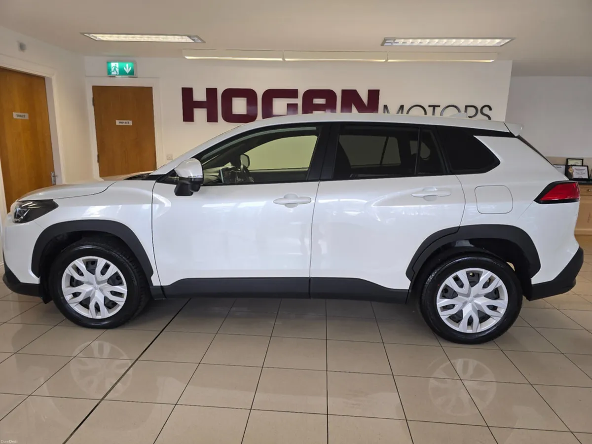 Image 4 of 19