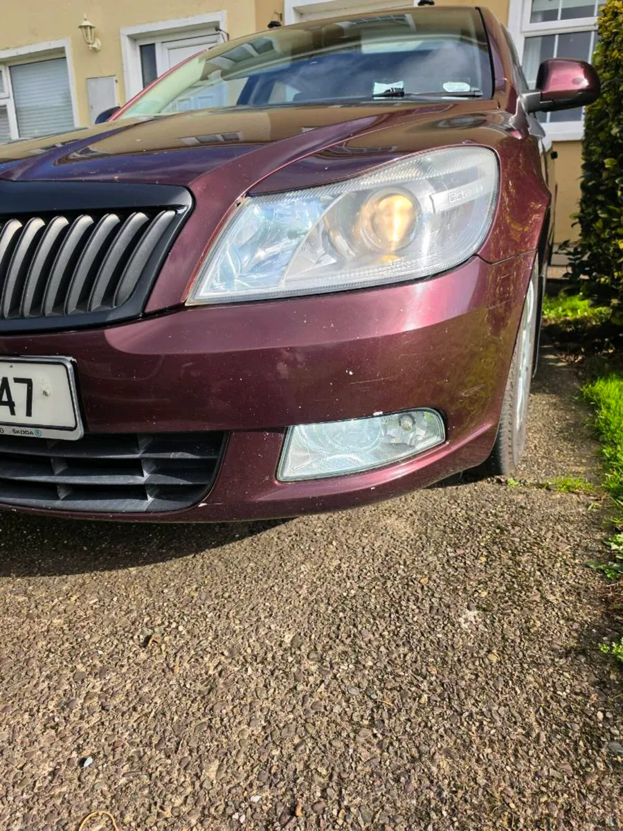Image 4 of 14