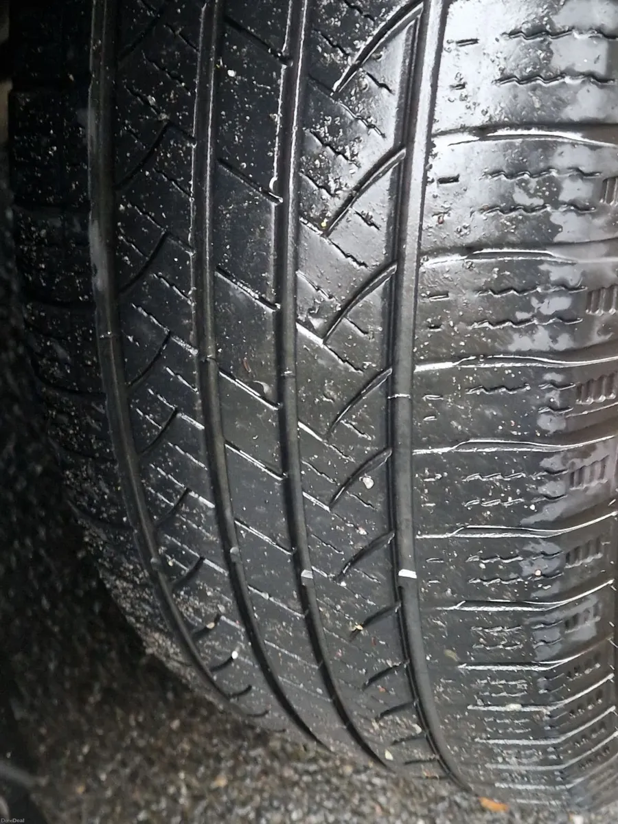 Image 4 of 15