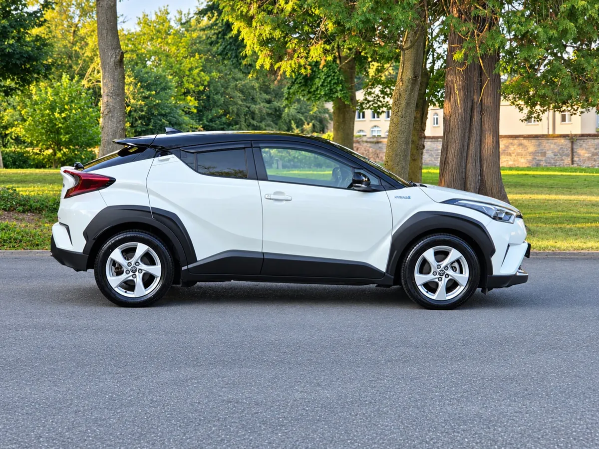 Image 4 of 19