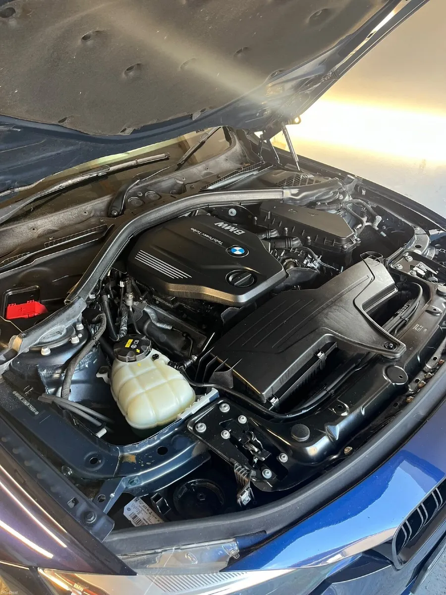 Image 3 of 12