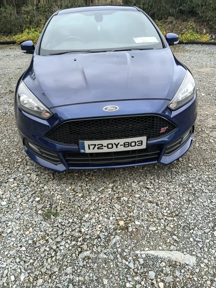 Image 1 of 12