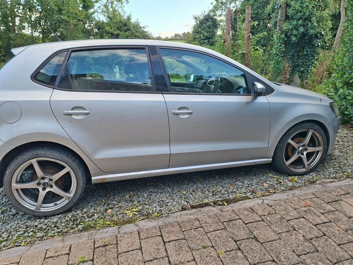 2010 Volkswagen Polo