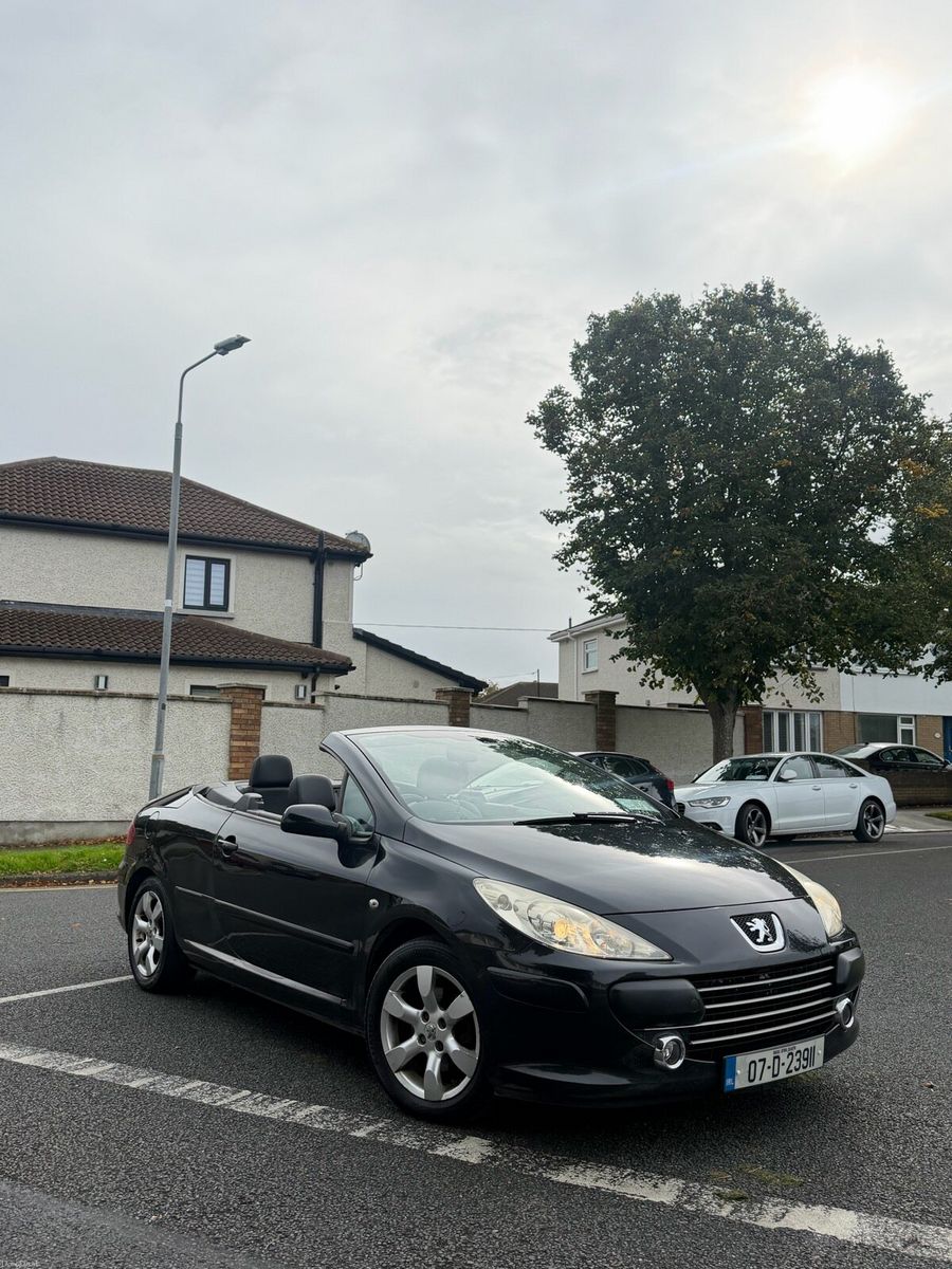 2007 Peugeot 307