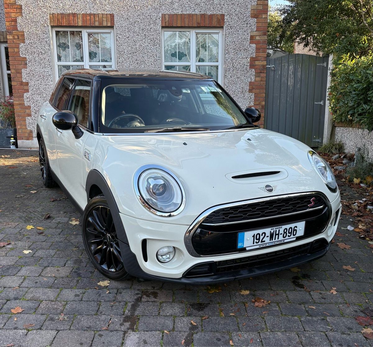 2019 Mini Other