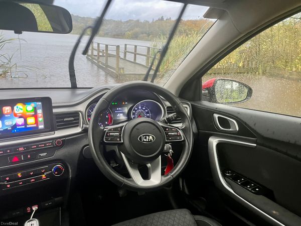 New model Kia ceed 256544032