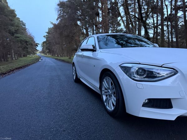 BMW 1-Series 116i 210 BHP Mapped 374176204