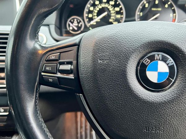 161 BMW 520d SE /Immaculate Condition 374476294