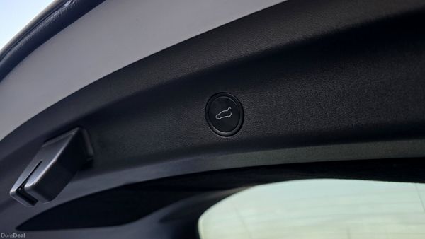 🔥 2024 Tesla Model Y RWD 375030099