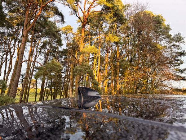 Land Rover Range Rover 2020 Vogue 375408314