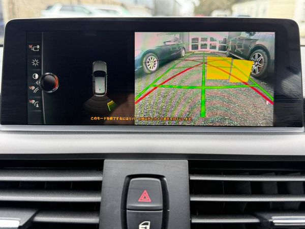 17 BMW  118D M Sport 376886752