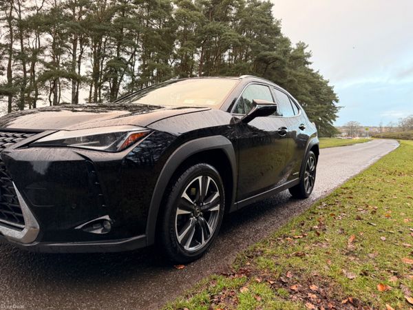Lexus UX 2021 Luxury 379856948