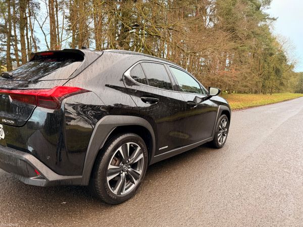 Lexus UX 2021 Luxury 379856954