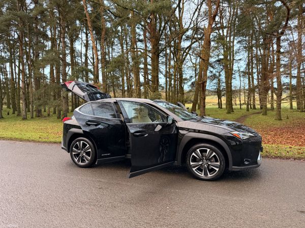 Lexus UX 2021 Luxury 379856956