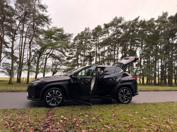 Lexus UX 2021 Luxury 379856958