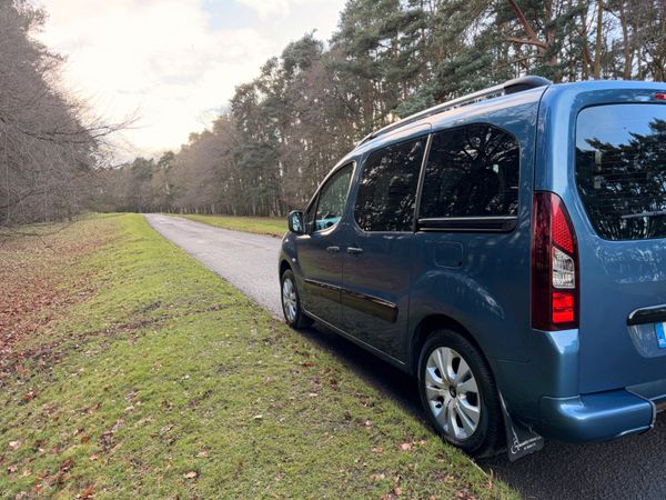 Citroen Berlingo Multispace 2013 380149092